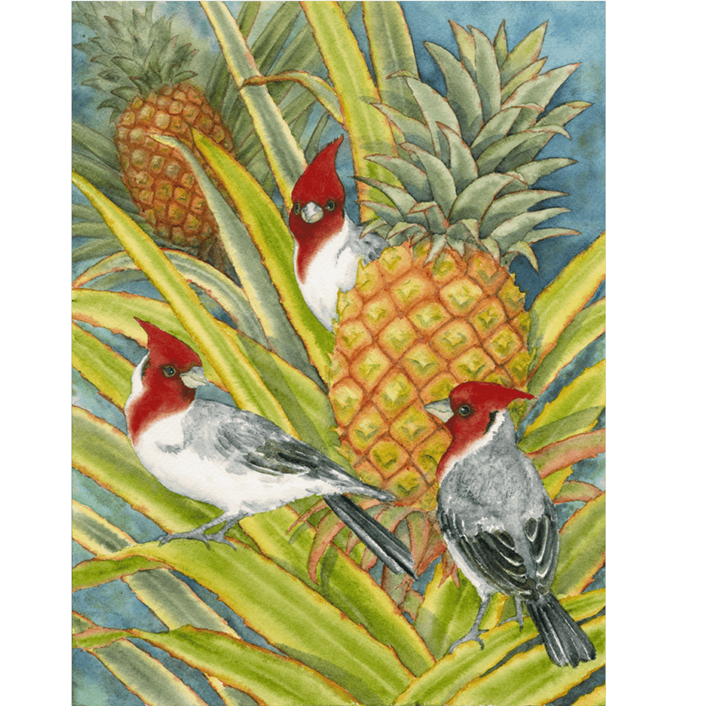 Brazilian Cardinals in Pineapple Patch Note Card