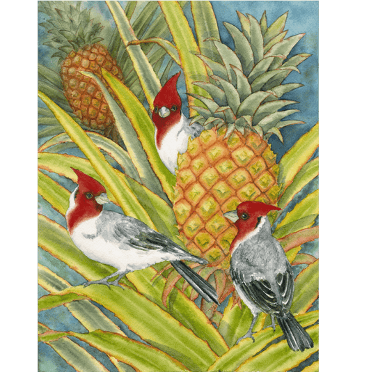 Brazilian Cardinals in Pineapple Patch Note Card
