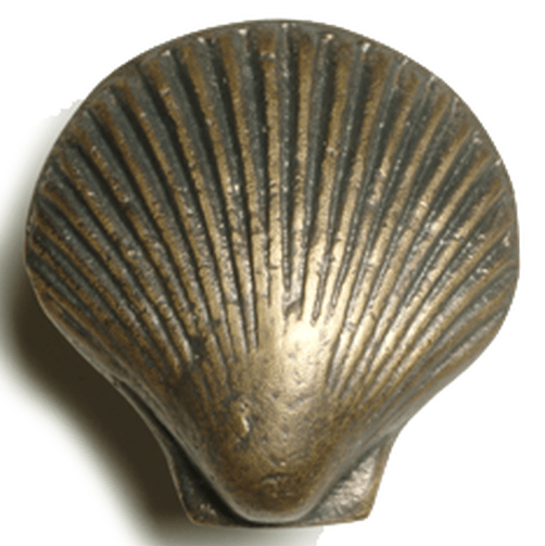 Scallop Shell Cabinet Pull