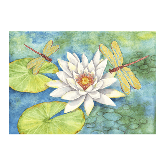 White Lotus, Gold Dragonflies Giclée