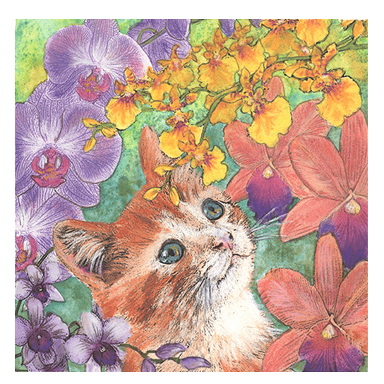 Cat Among Orchids I Print