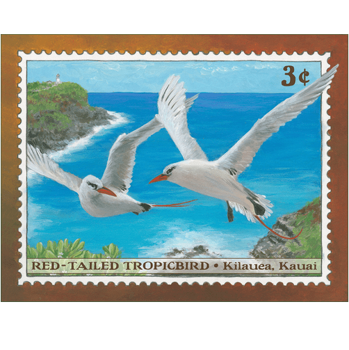 Red-Tailed Tropicbird 3¢ stamp Print