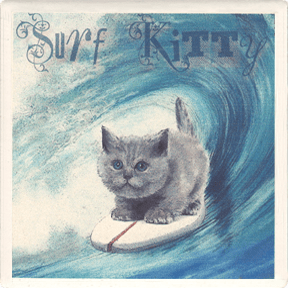 Surf Kitty Coaster