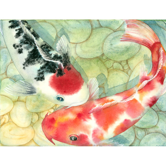 Tancho Koi