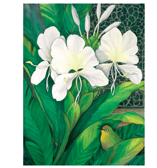 White Ginger & White Eyes Giclée