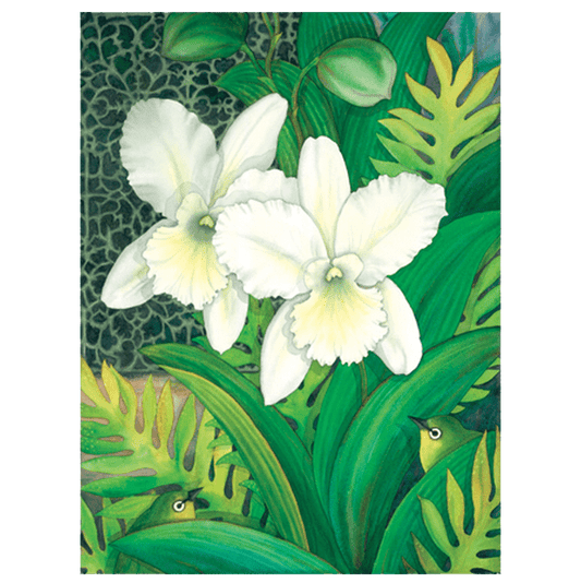 White Orchids & White Eyes Giclée