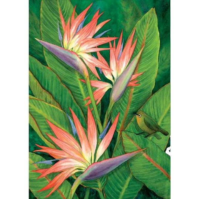 Bird of Paradise Greeting Card – Banana Patch Studio